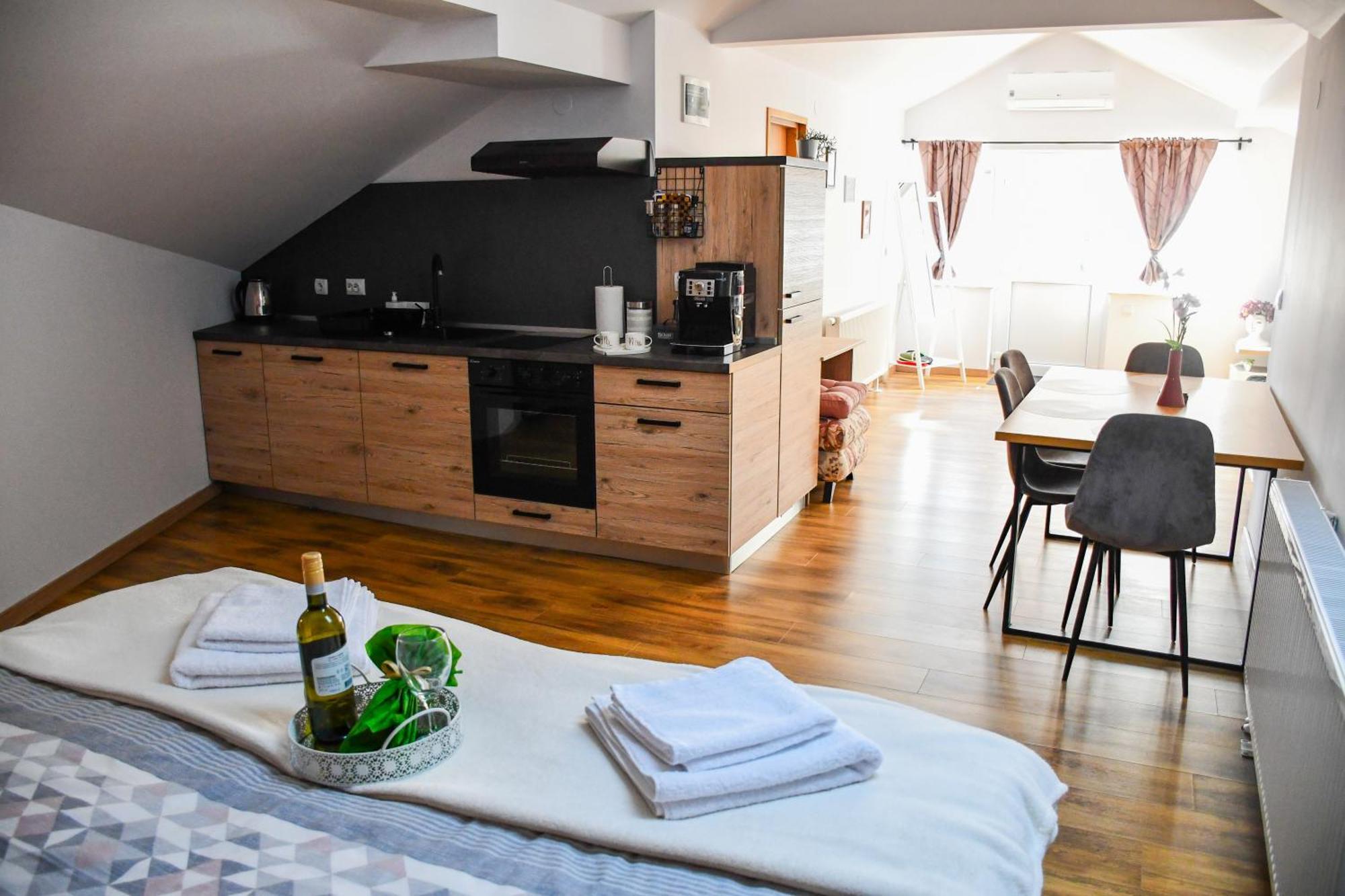 Studio Apartment Oaza Sisak Luaran gambar